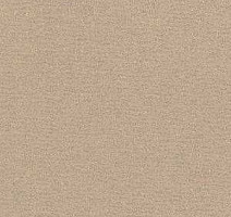 Ковролин Radici Nexus Nocciola 8219 фото 1 | FLOORDEALER